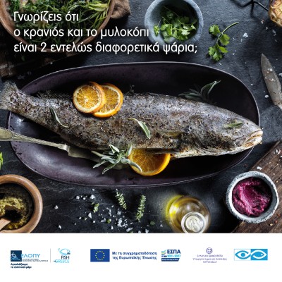 ΕΛΛΗΝΙΚΗ ΟΡΓΑΝΩΣΗ ΠΑΡΑΓΩΓΩΝ ΥΔΑΤΟΚΑΛΛΙΕΡΓΕΙΑΣ (ΕΛΟΠΥ) 