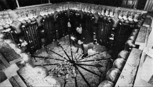 Υπερπληθυσμός: «Σύμπαν 25», ένα από τα πιο τρομακτικά πειράματα της ιστορίας (βίντεο)