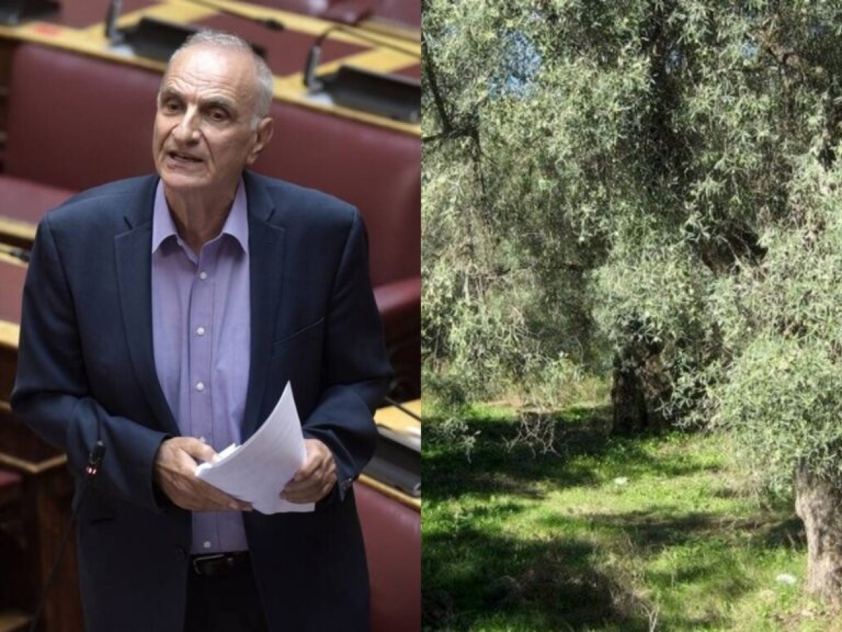 Γιώργος Βαρεμένος: Παράταση αδειών ξένων εργατών τώρα !