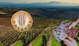 Πηγές ΝΔ: «Απέναντι στην πολιτική τοξικότητα για τον ΟΠΕΚΕΠΕ, η κυβέρνηση απαντά με σχέδιο, διαφάνεια και ευθύνη»