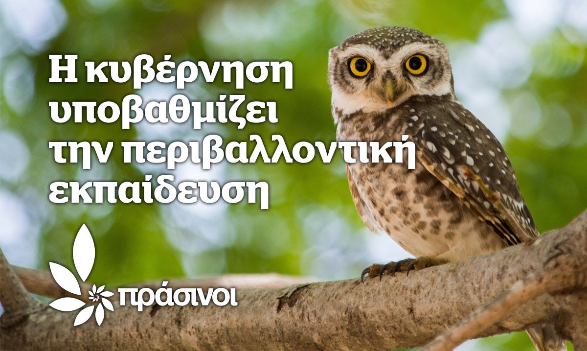 Πράσινοι: Η κυβέρνηση υποβαθμίζει την περιβαλλοντική εκπαίδευση