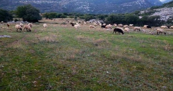 ΣΥΡΙΖΑ: Καταγγέλλει «σκάνδαλο» του ΟΠΕΚΕΠΕ στο αεροδρόμιο Αγρινίου