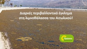 Όχι νέες τεχνοκρατικές παρεμβάσεις στη λιμνοθάλασσα του Αιτωλικού! Οι ΠΡΑΣΙΝΟΙ -Οικολογία προτείνουν οικοσυστημικές λύσεις