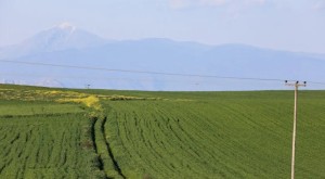 ΟΠΕΚΕΠΕ: Ένας εμπλεκόμενος πήρε επιδοτήσεις ύψους 1,4 εκατ. ευρώ και ένας άλλος 300.000