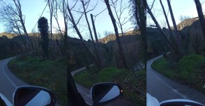 H Χριστίνα Σταρακά φέρνει στη βουλή τον σοβαρό κίνδυνο για την ασφάλεια από τα «άρρωστα» πλατάνια, στο επαρχιακό οδικό δίκτυο Αιτωλοακαρνανίας