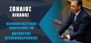 Σπήλιος Λιβανός: Η ολοκλήρωση του πρώτου κοινοβουλευτικού χρόνου από την εκλογική νίκη της Νέας Δημοκρατίας