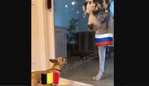 Σατιρικό βίντεο παρουσιάζει την πραγματικότητα με τις απειλές του Βελγίου ότι θα ισοπεδώσει την… Ρωσία