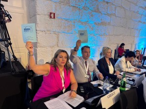 Θανάσης Παπαθανάσης από την Κοινοβουλευτική Συνέλευση του ΟΑΣΕ: «Η Ελλάδα πυλώνας σταθερότητας και υπερασπιστής του Διεθνούς Δικαίου»