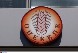 «Σαφάρι» του ελληνικού FBI για το κύκλωμα ΟΠΕΚΕΠΕ: 39 συλλήψεις – Πάνω από 7 εκατ. ευρώ το παράνομο όφελος