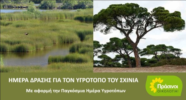 ΠΡΑΣΙΝΟΙ - Οικολογία: Να σταματήσουν οι παρανομίες και οι καταστροφικές πολιτικές στους υγροτόπους!