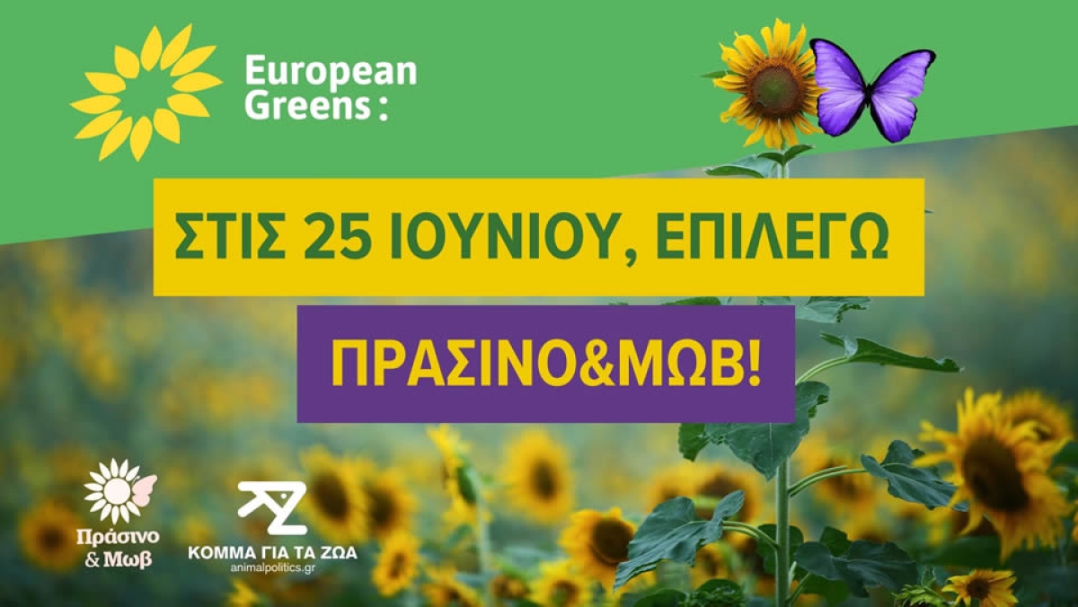 Ευρωπαίοι Πράσινοι: στις εκλογές, υποστηρίζουμε ΠΡΑΣΙΝΟ&amp;ΜΩΒ