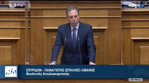 Νέα παρέμβαση Σπήλιου Λιβανού για τα Επαγγελματικά Δικαιώματα