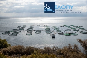 Νέο Διοικητικό Συμβούλιο ανέδειξε η Γενική Συνέλευση της ΕΛΟΠΥ – Eπανεξελέγη ως Πρόεδρος ο Απ. Τουραλιάς